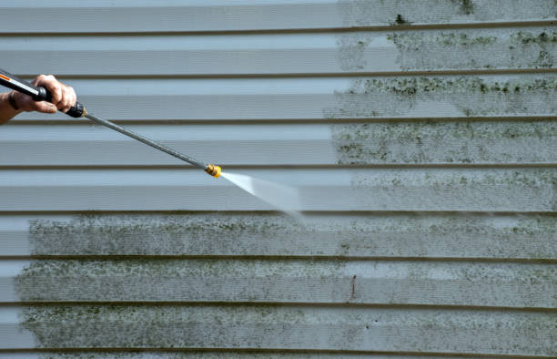Reliable Petersburg, IL Pressure Washing Services Solutions