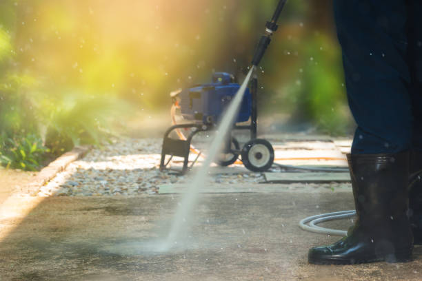 Best Graffiti Removal  in Petersburg, IL